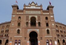 Madrid reabre este lunes el Museo Taurino y el Tour de Las Ventas con medidas extraordinarias de seguridad