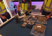 La Policía Nacional desmantela un club cannábico utilizado como punto de venta de sustancias estupefacientes en Alicante
