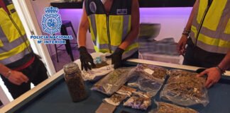 La Policía Nacional desmantela un club cannábico utilizado como punto de venta de sustancias estupefacientes en Alicante