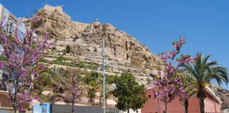 El Ayuntamiento de Alicante aprueba ayudas de 153.454 € para proyectos de Cooperación Internacional