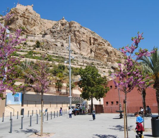 El Ayuntamiento de Alicante aprueba ayudas de 153.454 € para proyectos de Cooperación Internacional