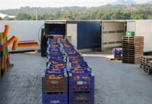 Las exportaciones agroalimentarias de la Comunitat Valenciana crecieron un 8,3% durante el primer semestre respecto al mismo periodo de 2019