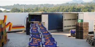 Las exportaciones agroalimentarias de la Comunitat Valenciana crecieron un 8,3% durante el primer semestre respecto al mismo periodo de 2019