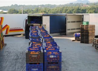 Las exportaciones agroalimentarias de la Comunitat Valenciana crecieron un 8,3% durante el primer semestre respecto al mismo periodo de 2019