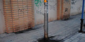 Ayuntamiento de Alicante y UTE distribuyen un kit gratuito de limpieza para los dueños de mascotas