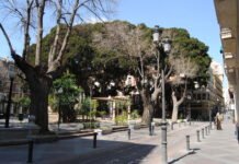 Seis plazas de Alicante ofrecerán cine al aire libre hasta finales de agosto
