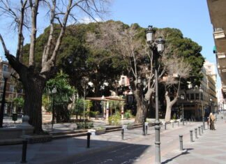 Seis plazas de Alicante ofrecerán cine al aire libre hasta finales de agosto