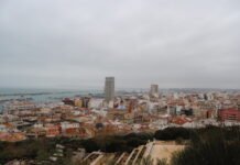 El Ayuntamiento de Alicante prorroga el servicio de control de plagas de palomas