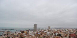 El Ayuntamiento de Alicante prorroga el servicio de control de plagas de palomas