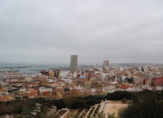 El Ayuntamiento de Alicante prorroga el servicio de control de plagas de palomas