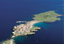 La Concejalía de Juventud de Alicante promueve las Jornadas de Voluntariado Ambiental en la Isla de Tabarca