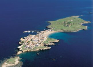 La Concejalía de Juventud de Alicante promueve las Jornadas de Voluntariado Ambiental en la Isla de Tabarca