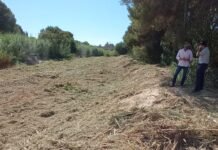 La Confederación Hidrográfica del Segura limpia barrancos en la costa de Orihuela en el aniversario de la gota fría del 2019