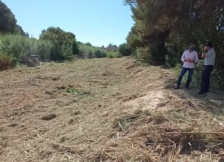 La Confederación Hidrográfica del Segura limpia barrancos en la costa de Orihuela en el aniversario de la gota fría del 2019
