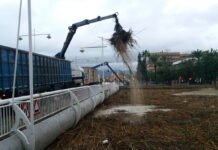 Murcia anuncia medidas drásticas para evitar inundaciones del Río Segura a su paso por la región