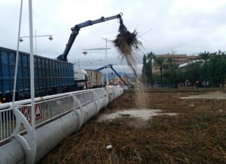 Murcia anuncia medidas drásticas para evitar inundaciones del Río Segura a su paso por la región