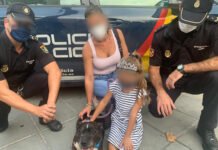 La Policía Nacional consigue localizar y detener en Alicante al autor del atropello de un perro