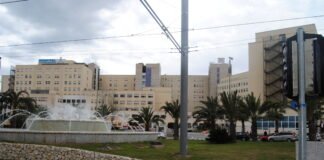 Sanidad registra 960 nuevos positivos por coronavirus y 885 altas en la Comunidad Valenciana