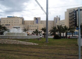 Sanidad registra 960 nuevos positivos por coronavirus y 885 altas en la Comunidad Valenciana