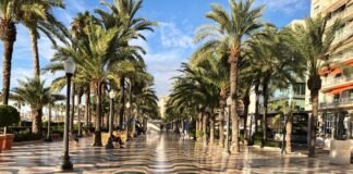 Alicante respalda económicamente a cuatro entidades sociales de la ciudad