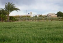 Ximo Puig promete en la Vega Baja inversiones de 63.000.000 de euros en reciclaje y aprovechamiento de aguas para la huerta alicantina