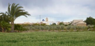 Ximo Puig promete en la Vega Baja inversiones de 63.000.000 de euros en reciclaje y aprovechamiento de aguas para la huerta alicantina