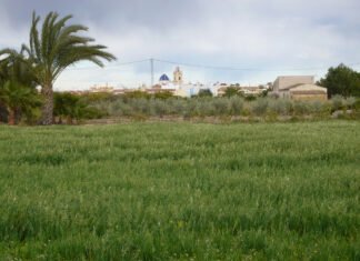 Ximo Puig promete en la Vega Baja inversiones de 63.000.000 de euros en reciclaje y aprovechamiento de aguas para la huerta alicantina