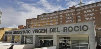 Andalucía abre una puerta a la manipulación genética de linfocitos T para destruir tumores