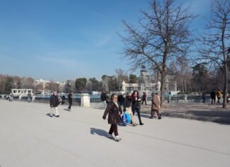 Madrid aprueba el Plan de Actuación de Protección Civil ante Pandemias