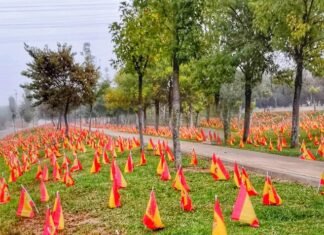 Sevilla honra a los muertos de coronavirus colocando 56.000 banderas de España en la vereda del Río Guadalquivir
