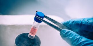 Andalucía lleva a cabo un ensayo clínico que prueba la administración de células madre de tejido adiposo en la neumonía causada por COVID19