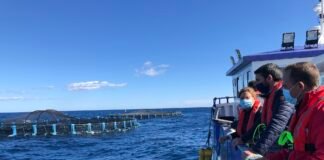 Murcia convoca ayudas para el sector acuícola antes de que concluya el año por importe de 1.600.000 euros