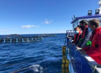 Murcia convoca ayudas para el sector acuícola antes de que concluya el año por importe de 1.600.000 euros