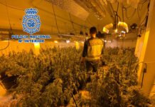 La Policía Nacional desmantela dos plantaciones de marihuana en La Nucia y Altea la Vella y detiene a sus responsables