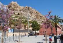 Los alicantinos celebrarán el 17 de octubre el “Alicante EDUSI Green Day”