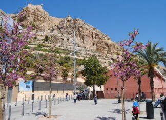 Los alicantinos celebrarán el 17 de octubre el “Alicante EDUSI Green Day”