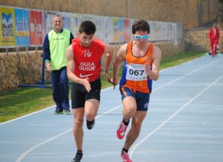 La Diputación de Alicante distribuye cerca de un millón de euros entre 95 municipios y 950 deportistas de la provincia