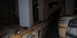 La Generalitat Valenciana ejecuta el pago de 2.400.000 euros en ayudas extraordinarias para el sector vitivinícola