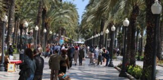 El alcalde de Alicante anuncia una tercera fase para las obras de reurbanización de la Explanada de España