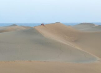 Empresarios, sindicatos y cabildos de Canarias respaldan el decreto ley que permitirá el control antiCOVID de los turistas