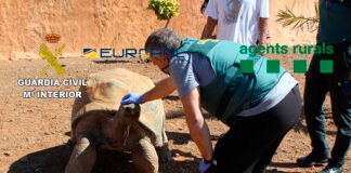 La Guardia Civil desarticula dos grupos criminales que traficaban con especies animales protegidas