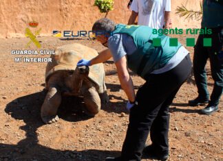 La Guardia Civil desarticula dos grupos criminales que traficaban con especies animales protegidas