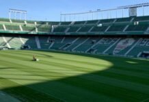 El Elche C.F. realiza tareas de mantenimiento y mejora del césped del Martínez Valero