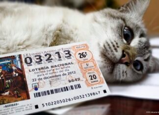 El Gordo de la Lotería cae en la Calle Sevilla de Alicante con el 03.213