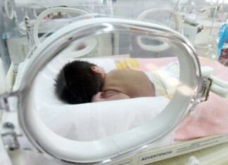 Unos 2.300 bebés nacieron de forma prematura en la Comunitat Valenciana durante el año pasado