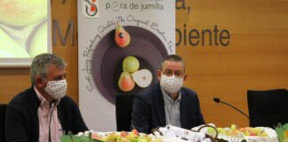 La Comunidad de Murcia presenta la campaña de promoción de Pera D.O. de Jumilla para incentivar su consumo