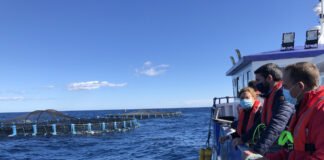 Murcia abre el plazo para la solicitud de ayudas al sector de la acuicultura para atenuar el impacto de la covid y la dana de 2019