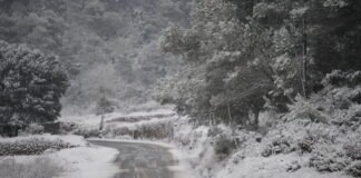El plan de vialidad invernal tiene todo listo para garantizar la seguridad y el tráfico en las carreteras del Estado en Aragón