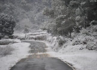 El plan de vialidad invernal tiene todo listo para garantizar la seguridad y el tráfico en las carreteras del Estado en Aragón