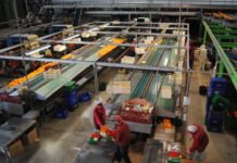 La Generalitat apuesta por el cooperativismo en las tres provincias valencianas